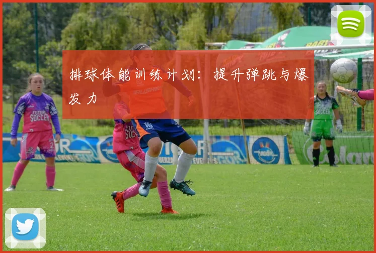排球体能训练计划：提升弹跳与爆发力