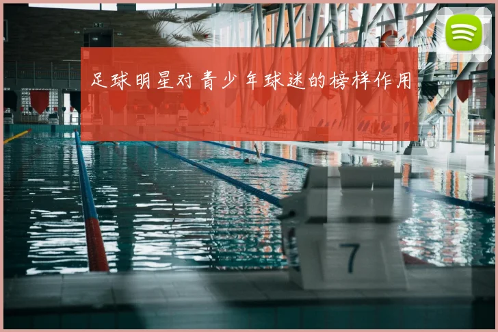 足球明星对青少年球迷的榜样作用