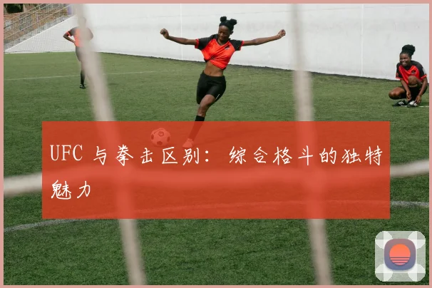 UFC 与拳击区别:综合格斗的独特魅力