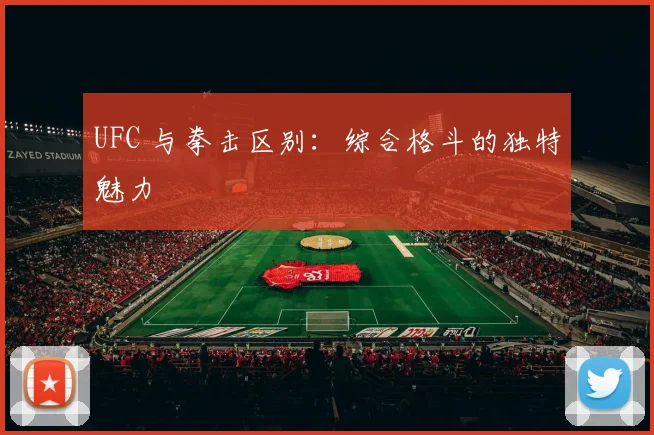 UFC 与拳击区别：综合格斗的独特魅力