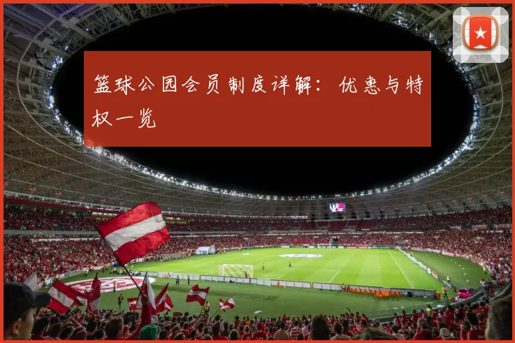篮球公园会员制度详解:优惠与特权一览